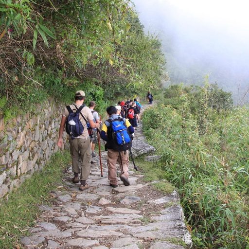 Camino Inca (1)