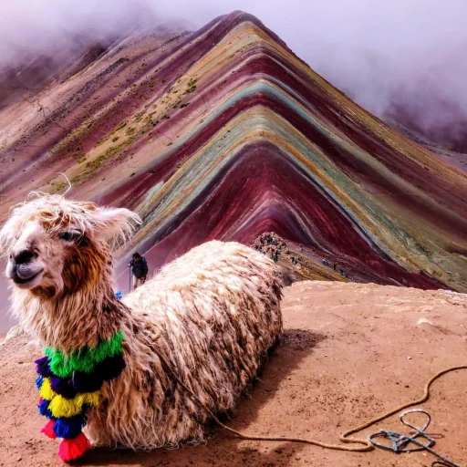 Montaña